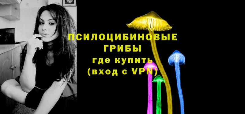 это как зайти  Динская  Псилоцибиновые грибы Psilocybine cubensis 