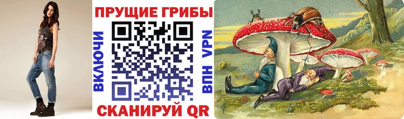 Псилоцибиновые грибы GOLDEN TEACHER где купить наркоту Динская